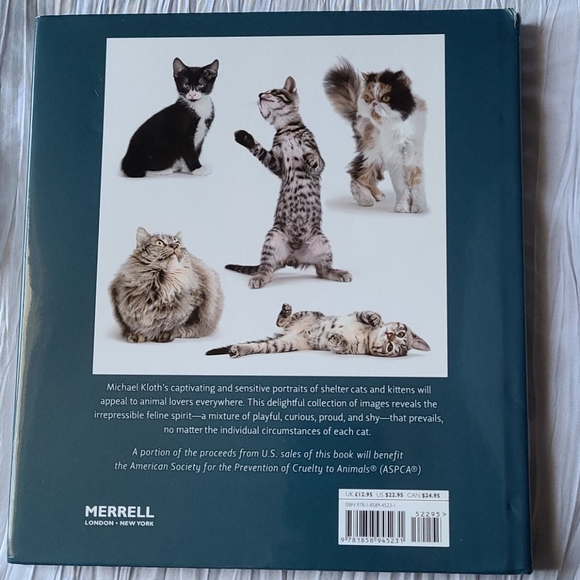Book "Shelter Cats" by Michael Kloth - Picture 2 of 12